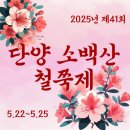 단양365할인마트 | 2025 단양 철쭉제 feat.주차정보