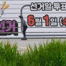 푸릇해