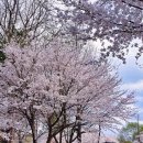 개화1리마을회관 이미지