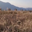 낙동강체육공원 2주차장 화장실 이미지