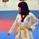 경희튼튼태권도 이미지