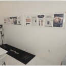 닥터포인트