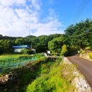 토지문화관_1 이미지