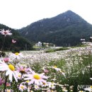 영양자연생태공원 뉴시스