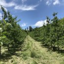 명선농장 이미지