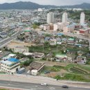 중앙초교 이미지