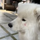 겨울이 머무는 집 이미지