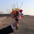 예일플라워 | 서울 생화꽃다발 배달ㅣ예일플라워, 웨딩 촬영용 부케 가격