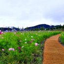 경포저류지 이미지