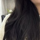 오브르헤어 이미지