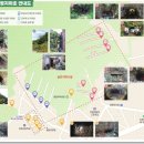 [6기 전성은_9월]캠프마켓_양모펠트&amp;페이퍼플라워아트&amp;지하호
