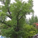 덕천서원화장실 이미지