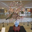 아카시아신경외과의원 이미지