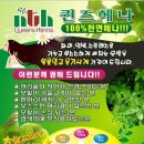 천연염색퀸즈헤나 이미지