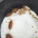 용자농장 이미지