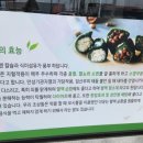 보드레떡 이미지
