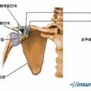 약손경락 이미지