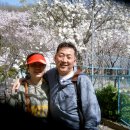 청학유치원 이미지