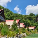 녹천농장 이미지