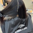 [hair] 하룸 상봉점 | 매트브라운 염색 후기