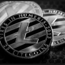 온도(ondo) 이미지