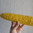 아초 이미지