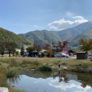 금수문화공원야영장 이미지