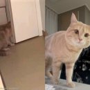 바른옷장 이미지