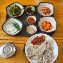 대청어린이집 | 5월의 망양로 383번길