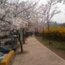 금전2교 이미지