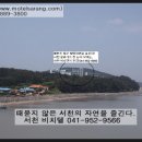 서천비치텔 이미지