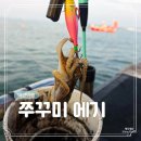 해솔 | 충남 태안 쭈꾸미 에기 낚시 채비 준비물 색상 추천 케이스 보관함 등 해솔피싱 후기