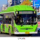 완월동266 이미지