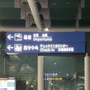 2311 | 인천에서 달랏 공항 직항 제주항공 7C2311 탑승후기 (셀프백드롭)