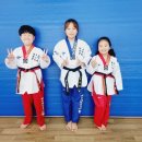 오늘은 태권도 이미지