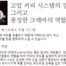 코웨이경남창녕 네이버블로그