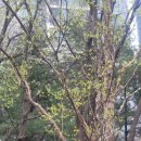 아람길공원 이미지