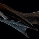 화산장어 이미지