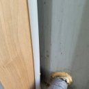 푸른카센타 이미지