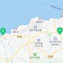 블루메마리 이미지