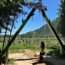 구례진달래집 이미지