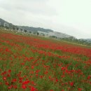 오송농수산물