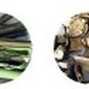 전국한약약업사 이미지