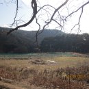 천하대장군 이미지