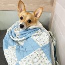 우리 덴탈랩 이미지