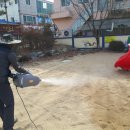 성주초등학교병설유치원 이미지