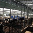 연동축산 이미지