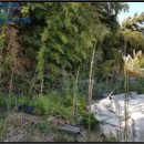 오평 경로당 이미지