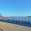 동진포 석축나루터 이미지