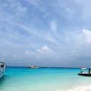 섬 | 태국 푸켓 시밀란섬 투어 후기 러브안다만 내돈내산